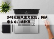IM电竞欧洲杯-多特蒙德队主力受伤，将缺席未来几场比赛